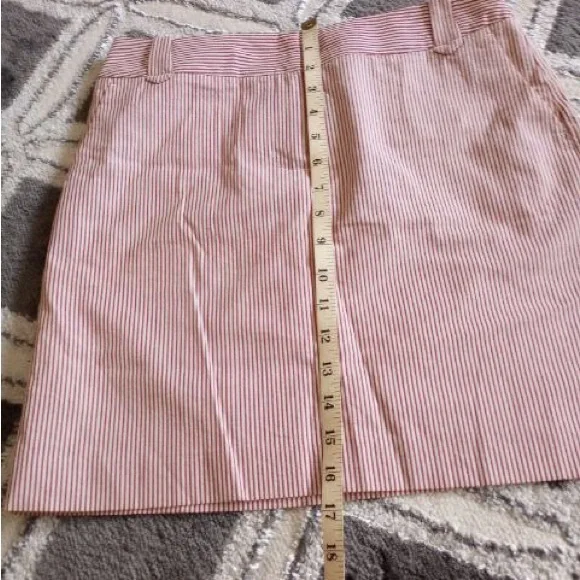 LOFT Mini Skirt. Size 2P. - Picture 4 of 9